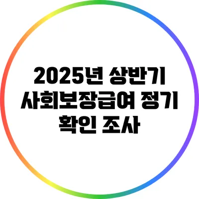 2025년 상반기 사회보장급여 정기 확인 조사