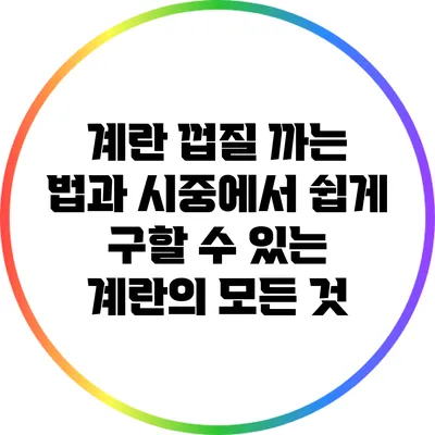계란 껍질 까는 법과 시중에서 쉽게 구할 수 있는 계란의 모든 것