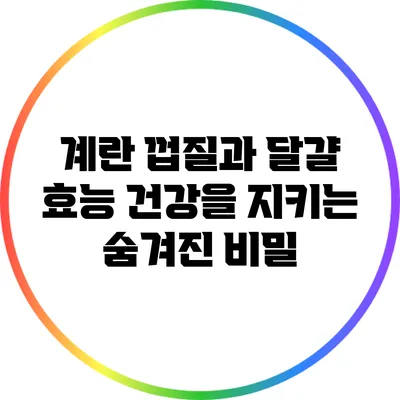 계란 껍질과 달걀 효능: 건강을 지키는 숨겨진 비밀