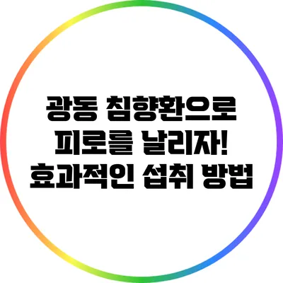 광동 침향환으로 피로를 날리자! 효과적인 섭취 방법