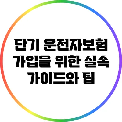 단기 운전자보험 가입을 위한 실속 가이드와 팁
