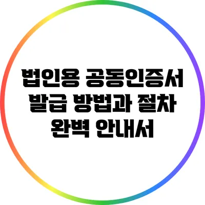 법인용 공동인증서 발급 방법과 절차 완벽 안내서