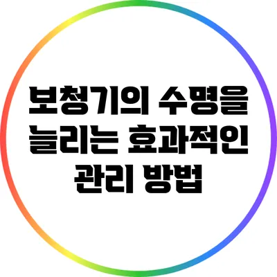 보청기의 수명을 늘리는 효과적인 관리 방법