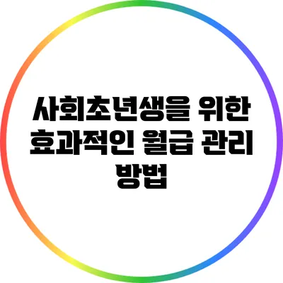사회초년생을 위한 효과적인 월급 관리 방법