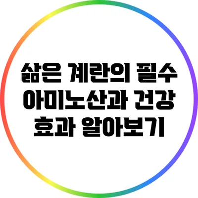 삶은 계란의 필수 아미노산과 건강 효과 알아보기