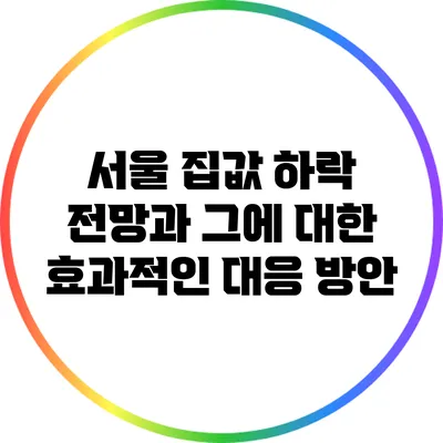 서울 집값 하락 전망과 그에 대한 효과적인 대응 방안