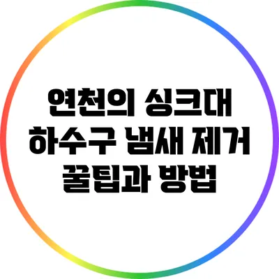 연천의 싱크대 하수구 냄새 제거 꿀팁과 방법