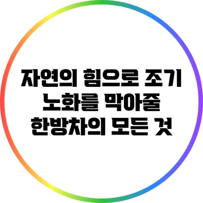 자연의 힘으로 조기 노화를 막아줄 한방차의 모든 것
