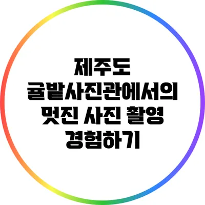 제주도 귤밭사진관에서의 멋진 사진 촬영 경험하기