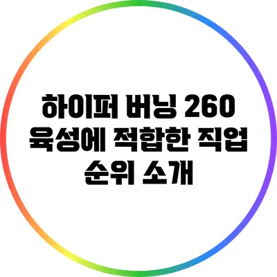 하이퍼 버닝 260 육성에 적합한 직업 순위 소개
