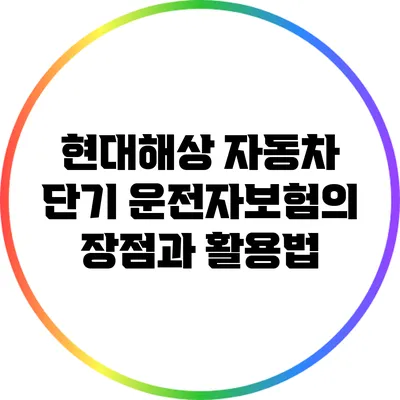 현대해상 자동차 단기 운전자보험의 장점과 활용법
