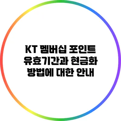 KT 멤버십 포인트 유효기간과 현금화 방법에 대한 안내