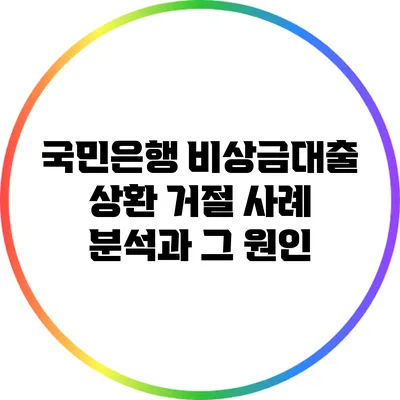 국민은행 비상금대출 상환 거절 사례 분석과 그 원인