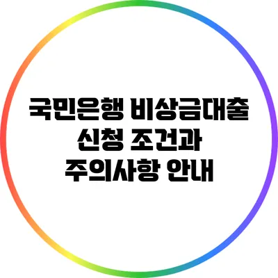 국민은행 비상금대출 신청 조건과 주의사항 안내