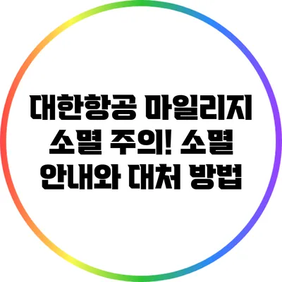 대한항공 마일리지 소멸 주의! 소멸 안내와 대처 방법