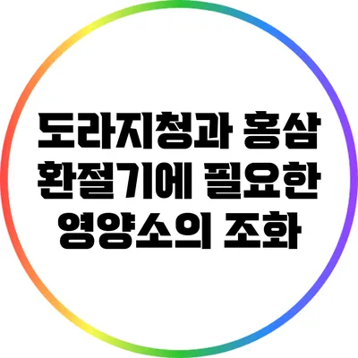 도라지청과 홍삼: 환절기에 필요한 영양소의 조화