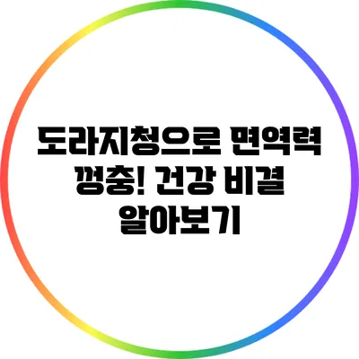 도라지청으로 면역력 껑충! 건강 비결 알아보기