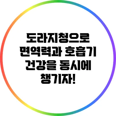 도라지청으로 면역력과 호흡기 건강을 동시에 챙기자!