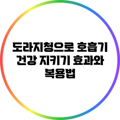 도라지청으로 호흡기 건강 지키기: 효과와 복용법