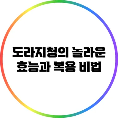 도라지청의 놀라운 효능과 복용 비법
