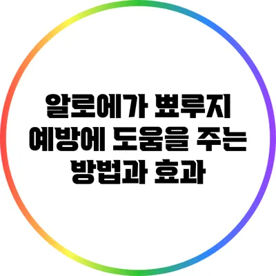 알로에가 뾰루지 예방에 도움을 주는 방법과 효과