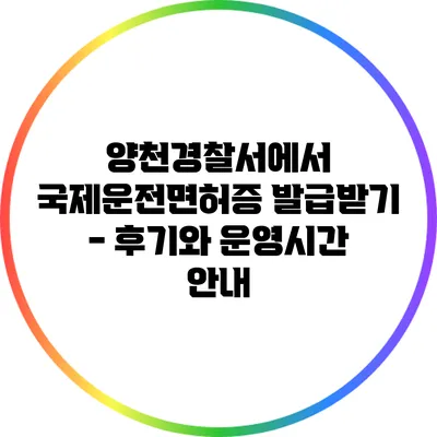 양천경찰서에서 국제운전면허증 발급받기 - 후기와 운영시간 안내