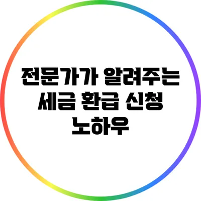 전문가가 알려주는 세금 환급 신청 노하우