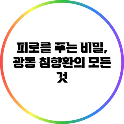 피로를 푸는 비밀, 광동 침향환의 모든 것