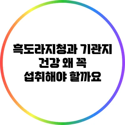 흑도라지청과 기관지 건강: 왜 꼭 섭취해야 할까요?