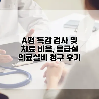 A형 독감 검사 및 치료 비용, 응급실 의료실비 청구 후기