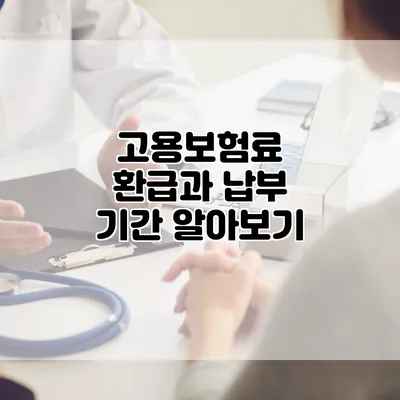 고용보험료 환급과 납부 기간 알아보기