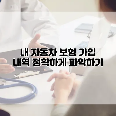 내 자동차 보험 가입 내역 정확하게 파악하기