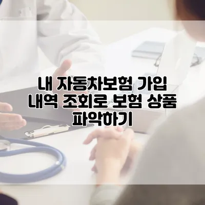 내 자동차보험 가입 내역 조회로 보험 상품 파악하기