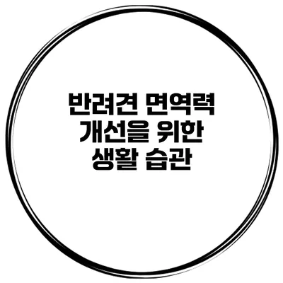 반려견 면역력 개선을 위한 생활 습관