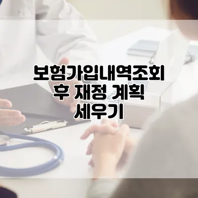 보험가입내역조회 후 재정 계획 세우기