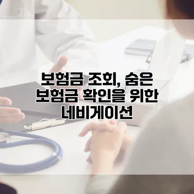 보험금 조회, 숨은 보험금 확인을 위한 네비게이션