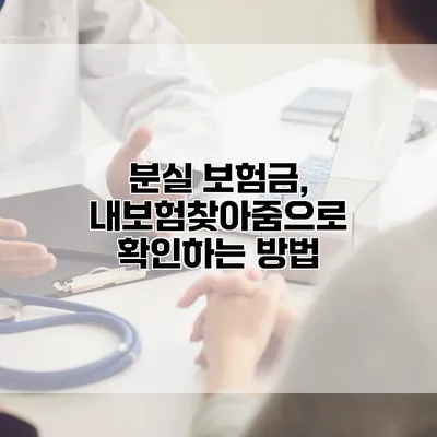 분실 보험금, 내보험찾아줌으로 확인하는 방법