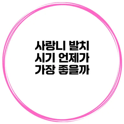 사랑니 발치 시기 언제가 가장 좋을까?
