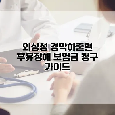 외상성 경막하출혈 후유장해 보험금 청구 가이드