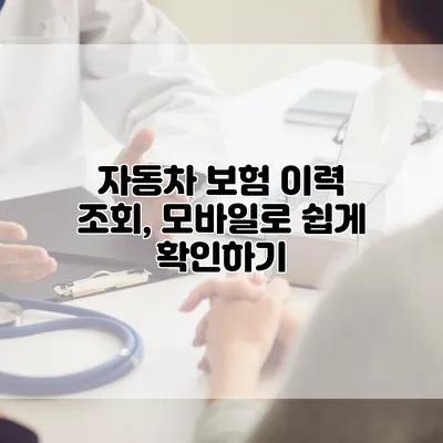 자동차 보험 이력 조회, 모바일로 쉽게 확인하기