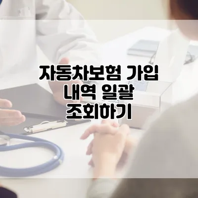 자동차보험 가입 내역 일괄 조회하기