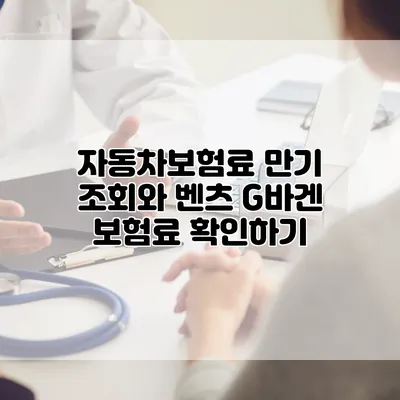 자동차보험료 만기 조회와 벤츠 G바겐 보험료 확인하기