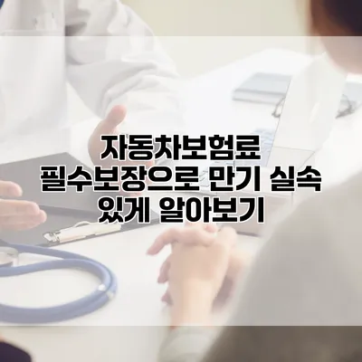 자동차보험료 필수보장으로 만기 실속 있게 알아보기