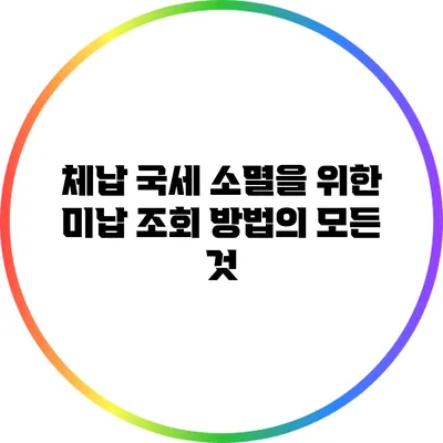 체납 국세 소멸을 위한 미납 조회 방법의 모든 것